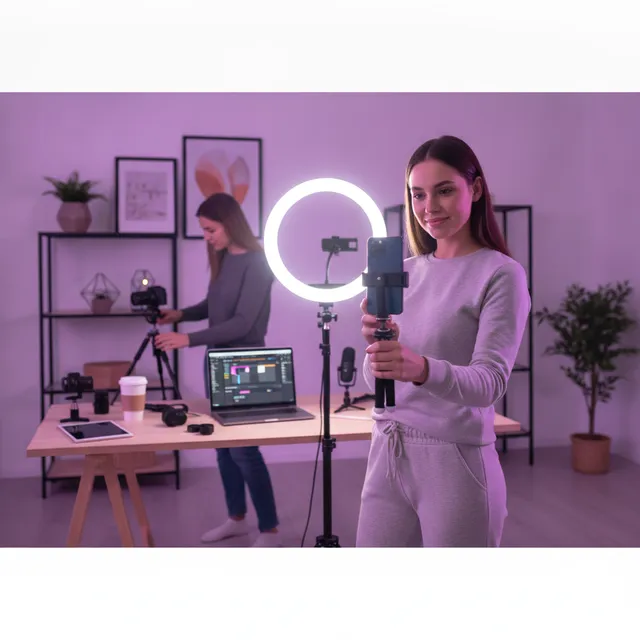 Insense Review for UGC Creators: Pay, Brands, and Is It Worth It?